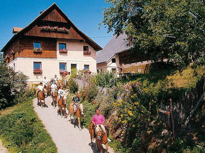 Bild 2 aus  Reitbauernhof Ferner