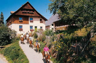 Reitbauernhof Ferner aus Mühlen