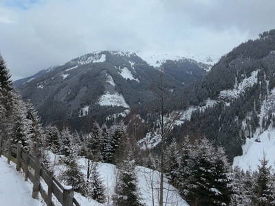 Bild 17 aus  Lengaualm