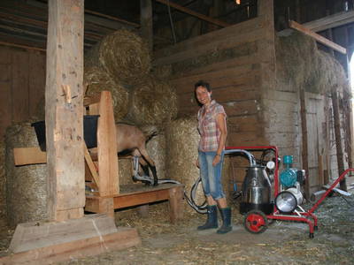 Bild 101 aus  Kaspergut