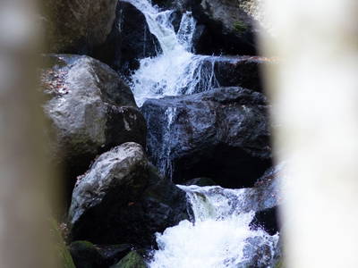 Bild 21 aus  Lodge am Wasser