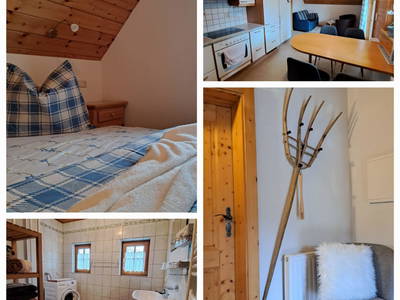 Bild 30 aus  Rotlechner