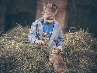 Bild 30 aus  Farm Resort Geislerhof - Private Chalets