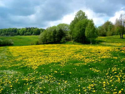 Bild 17 aus  Ferienhof Lochau