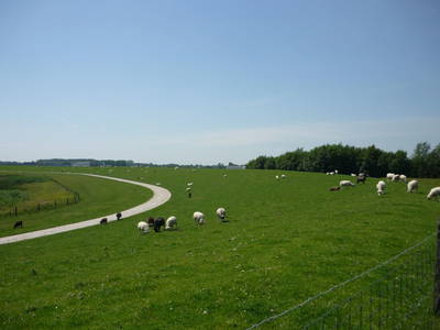 Bild 18 aus  Warnken-Urlaub