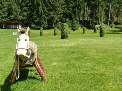 Bild 31 aus  Schieplechnerhof