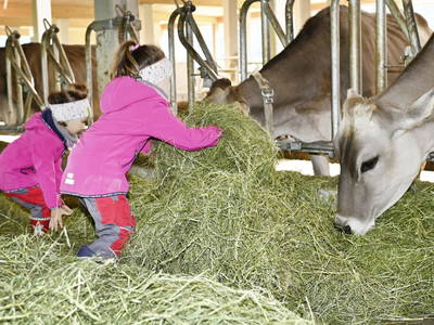 Bild 59 aus  Ferienhof Landerleben