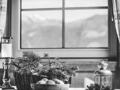 Bild 33 aus  Hanserhof-Ferienhaus