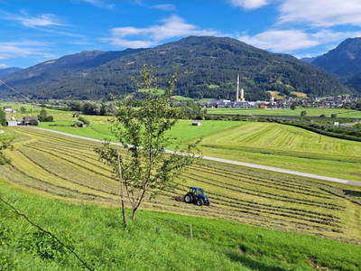 Bild 40 aus  Prechtlerhütte