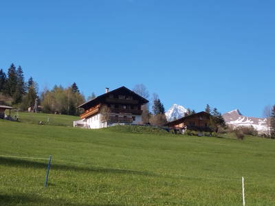 Bild 18 aus Niederarnigerhof
