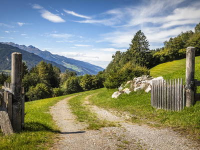 Bild 8 aus  Viehhofgut