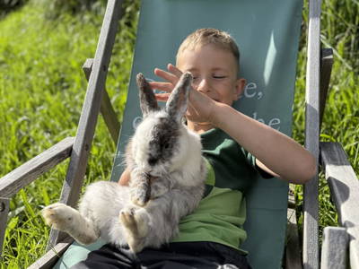 Bild 61 aus  Bergerhof