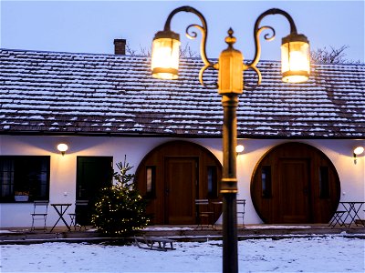 Bild 113 aus Winzerhof Küssler, Weinviertel