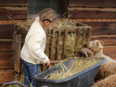 Bild 211 aus  Landgut Moserhof