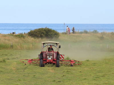 Bild 9 aus  Hof Grünberg