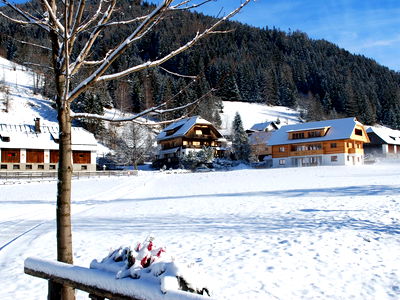Bild 22 aus Biohof Seidl