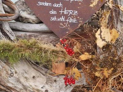 Bild 31 aus  Pferdehof Gugganig