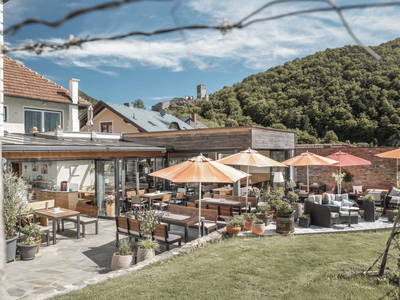 Bild 19 aus  Weingut STRAWANZER Donabaum