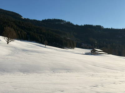 Bild 13 aus  Entachalm