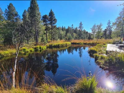 Bild 18 aus  Haus Adlerhorst