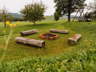 Bild 105 aus  Almenlandhof