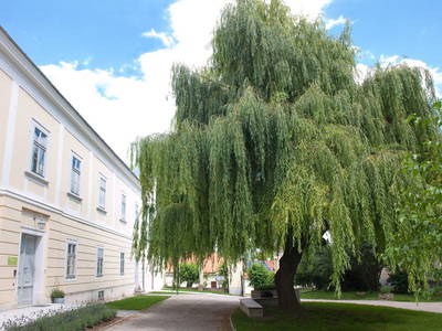 Bild 2 aus  OBENauf Zimmer u. Frühstück