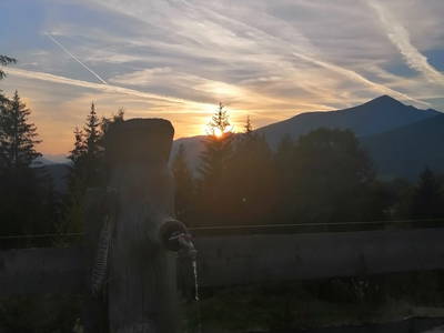 Bild 158 aus  Almchalet Nikola