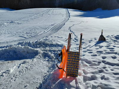 Bild 96 aus  Lettengut