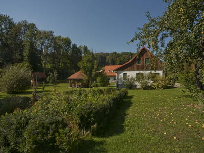 Bild 48 aus  Kürbishof 