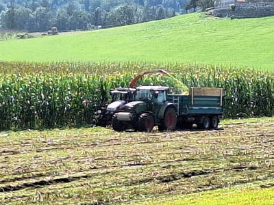 Bild 175 aus  Klinglerbauer