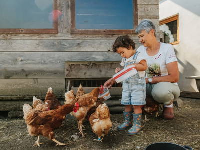 Bild 42 aus  Hattlerhof