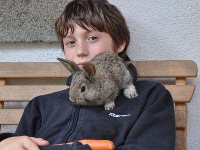 Bild 42 aus  Hof zu Steinern