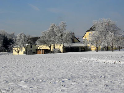 Bild 45 aus Bauernhof Webinger