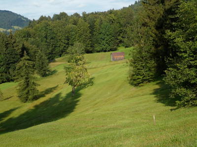 Bild 26 aus  Berghof Vöglerbrand