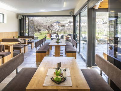 Bild 45 aus  Weingut STRAWANZER Donabaum