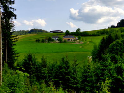 Bild 67 aus Biohof Viertl