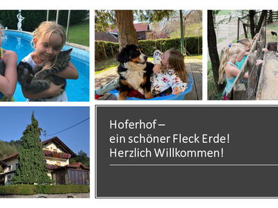 Bild 44 aus  Hoferhof