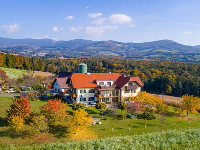 Bild 84 aus  Postl's Hirschbirnhof