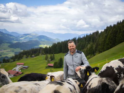 Bild 38 aus  Bauernhof Streitenau