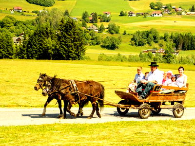 Bild 78 aus Pension Zechnerhof