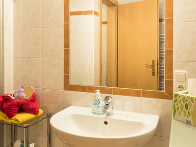 Bild 100 aus  Bio-Bauernhof Obertrattenbachhof