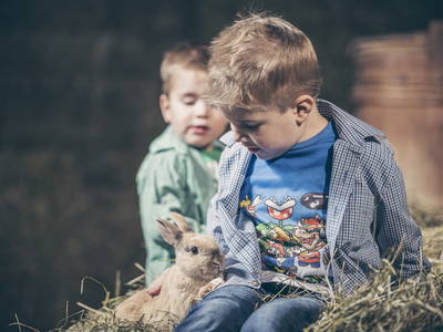 Bild 3 aus  Farm Resort Geislerhof - Private Chalets