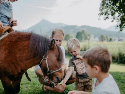 Bild 111 aus  Sinnhubgut