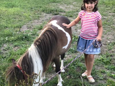 Bild 75 aus  Almchalet Nikola