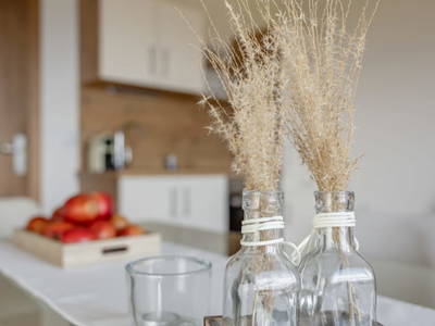 Bild 110 aus  Pleschinhof