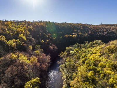 Bild 25 aus  Testhof UaB NÖ