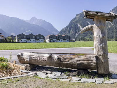 Bild 96 aus  Larchergut