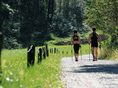 Bild 5 aus  Grannerhof - Urlaub auf dem Bauernhof