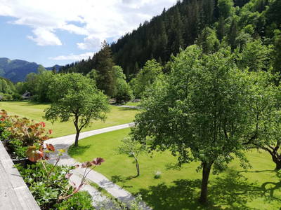 Bild 34 aus  Friedler