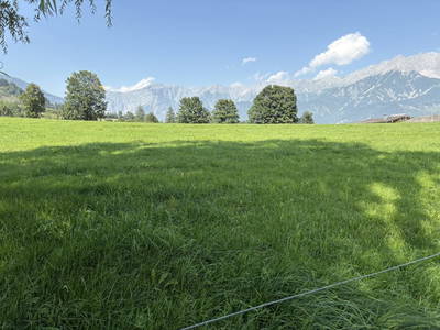 Bild 104 aus  Vorderkasbichlhof - Pension Schmiderer